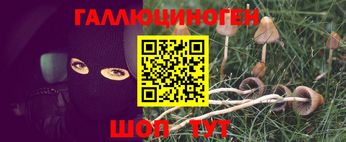 Галлюциногенные грибы прущие грибы  Вход с VPN  Янаул 