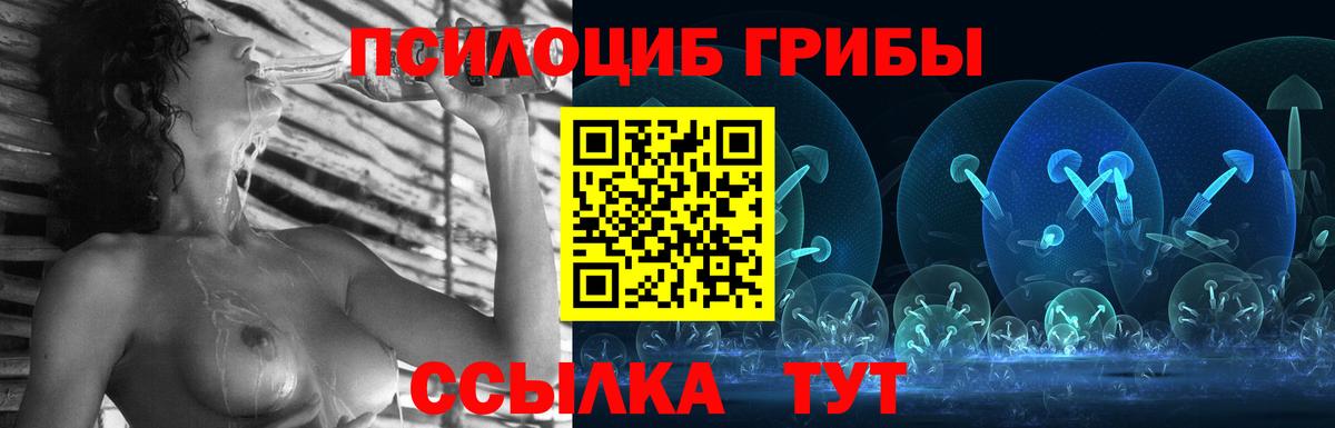 Псилоцибиновые грибы Cubensis Янаул